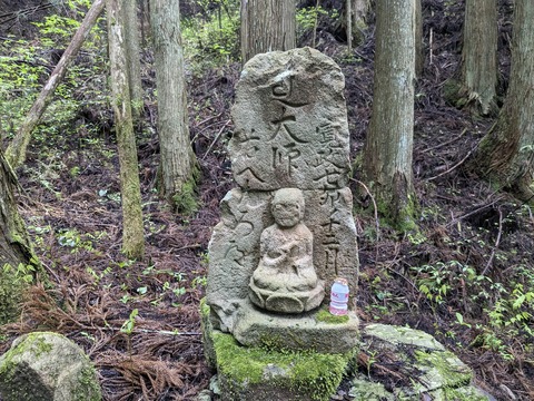 PXL_20240427_033628115