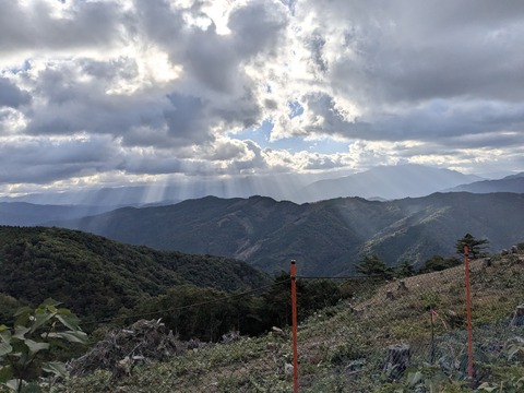 PXL_20251102_232427376