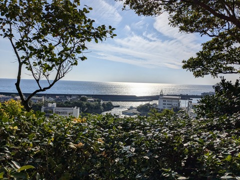 PXL_20241122_051409456