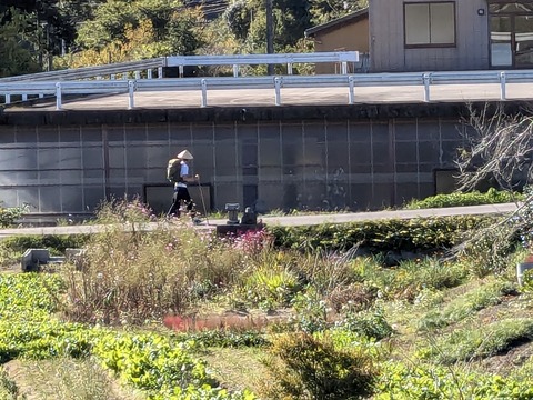 PXL_20241109_050137926.MP