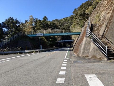 PXL_20241120_002047879