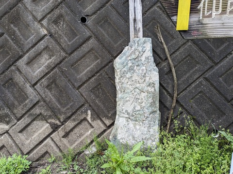 PXL_20240427_041413615