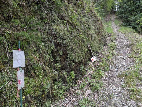 PXL_20240426_040731886