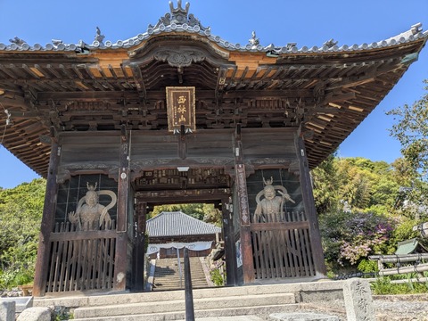 PXL_20250426_053719353