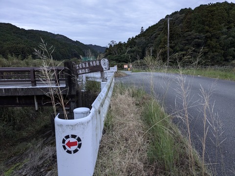 PXL_20241120_214108102