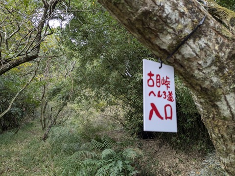 PXL_20241121_001723925