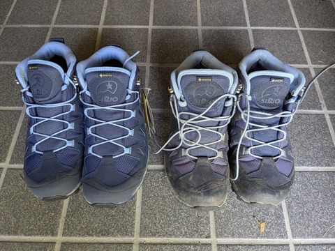 PXL_20260103_060640556