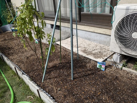 PXL_20240927_034807740