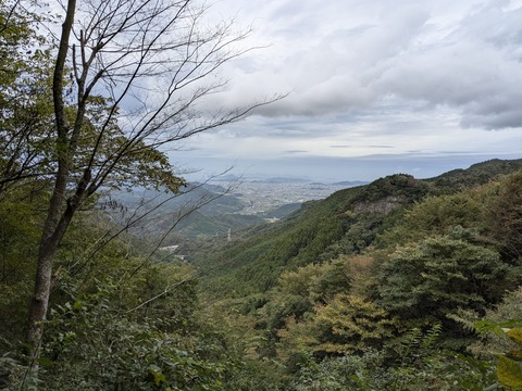 PXL_20241022_000254285