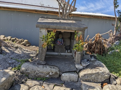 PXL_20240329_031148209