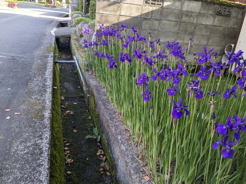 PXL_20240424_222437390