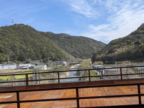 PXL_20240329_005525611