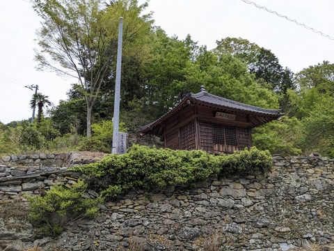 PXL_20240426_033126074