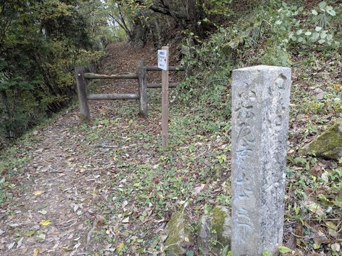 PXL_20251103_010751477