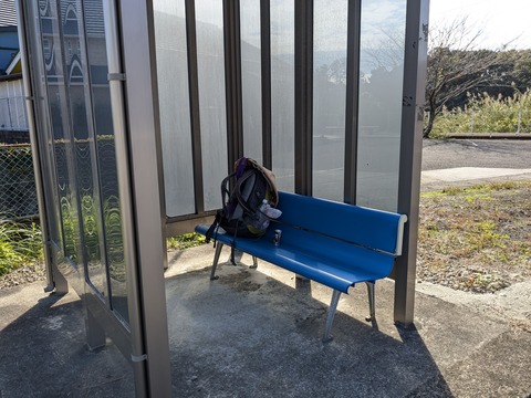 PXL_20241121_021203770