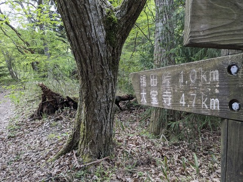 PXL_20240426_050740162