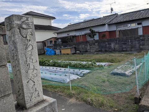 PXL_20251111_034914718