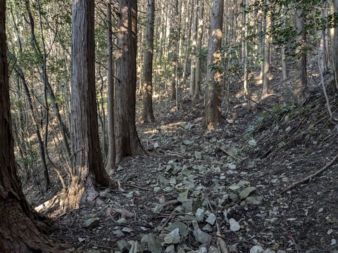 PXL_20241119_225550236