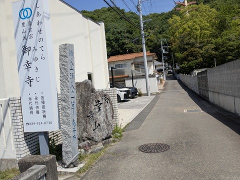 PXL_20250427_012508689