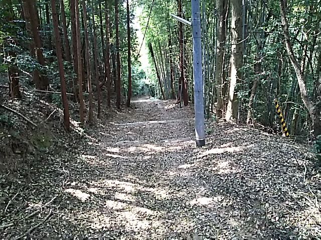 イメージ 26