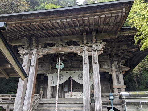 PXL_20240427_010013100