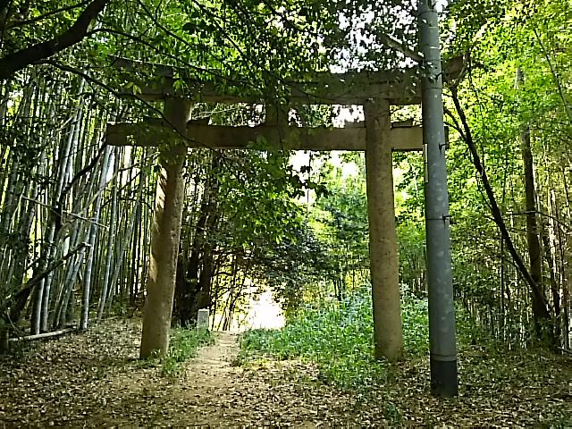 イメージ 33
