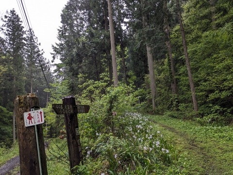 PXL_20240426_232615143