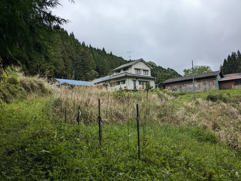 PXL_20240427_041225235