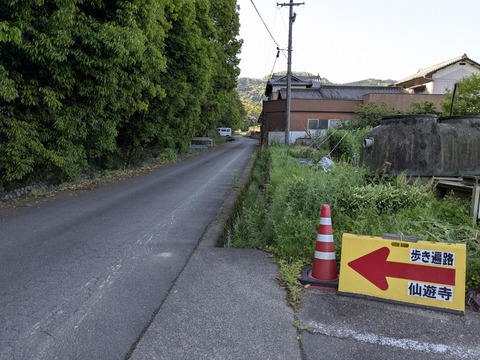 PXL_20250428_230638174