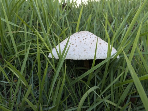 PXL_20240904_210539367