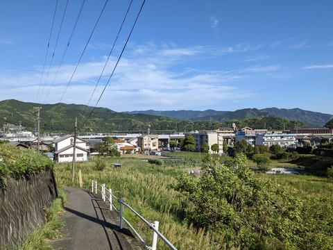 PXL_20240425_070159359