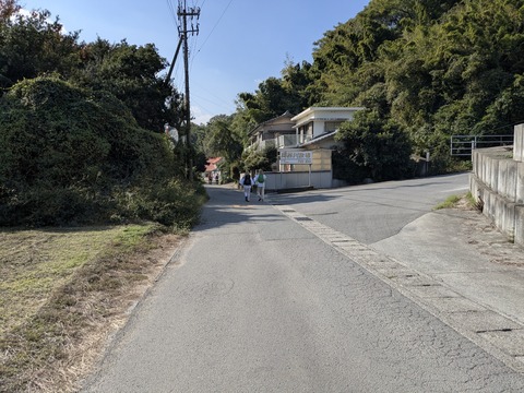 PXL_20251115_031843080