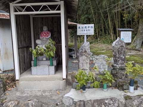 PXL_20251113_054100883