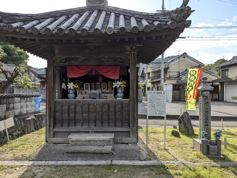 PXL_20241023_233617079