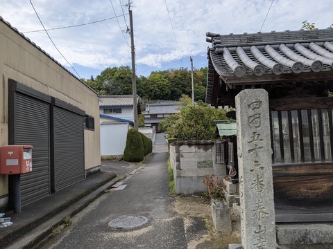 PXL_20250428_065109819