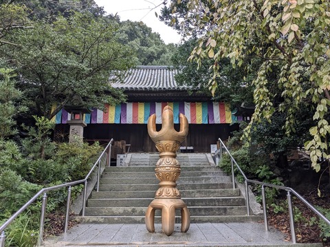 PXL_20241022_235555031