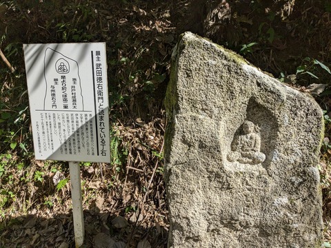 PXL_20241109_033318239