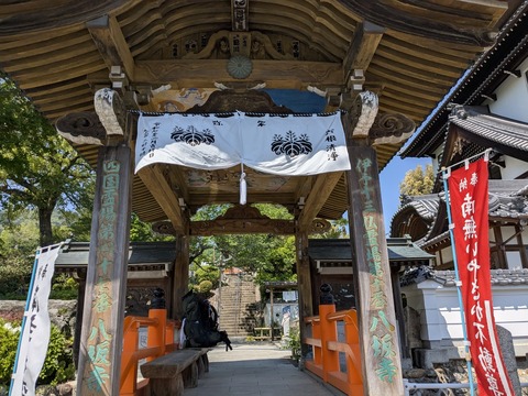 PXL_20250426_014359620