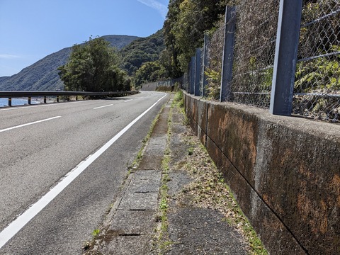 PXL_20240327_033645817