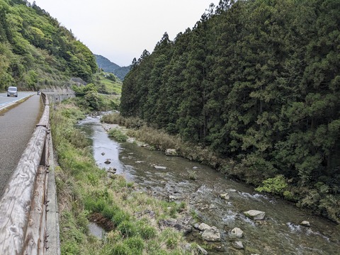 PXL_20240426_001142088