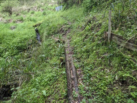 PXL_20240427_032442522