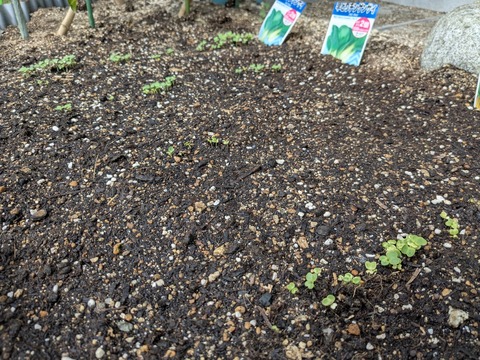 PXL_20251019_015819982