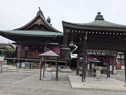 PXL_20241025_060228435