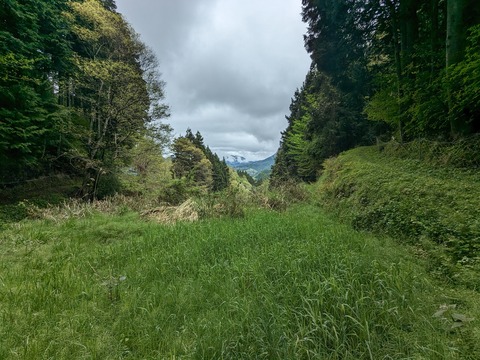 PXL_20240427_032956216