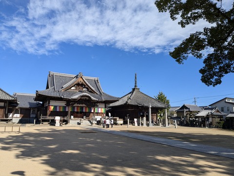 PXL_20241109_013010940