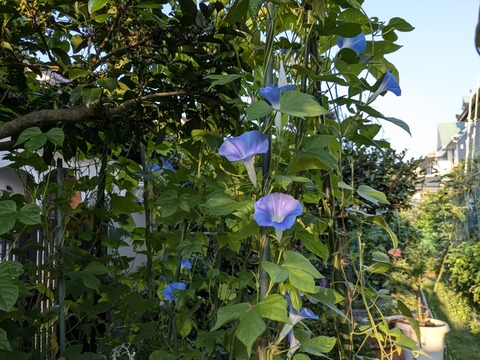 PXL_20240904_213914363