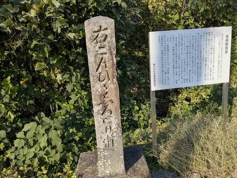 PXL_20251114_054006574