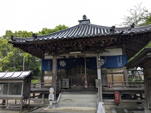 PXL_20250428_041850498