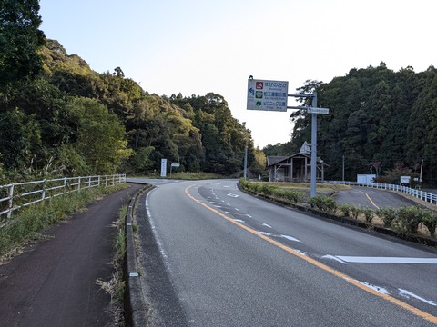 PXL_20241120_060532812