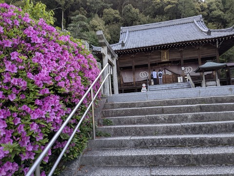 PXL_20250426_225113574